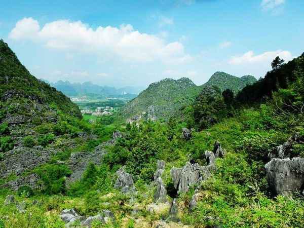 河池市都安县石头开花景区