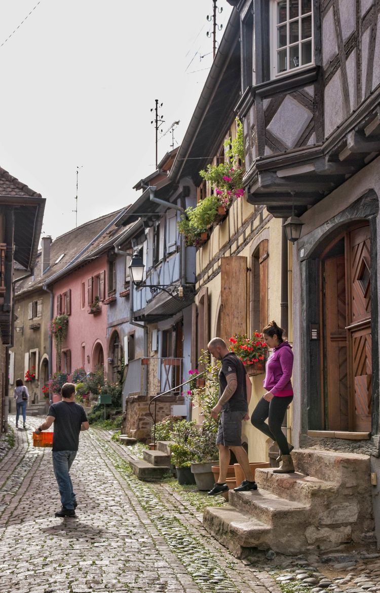 与路面的石块相得益彰,在花草的衬托下将古镇老风貌体现得淋漓尽致