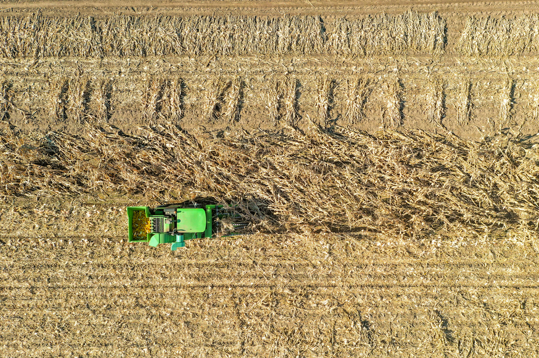 ▲10月27日，在吉林省舒兰市溪河镇松凤村，农民驾驶改装农机收割倒伏玉米。图/新华社发