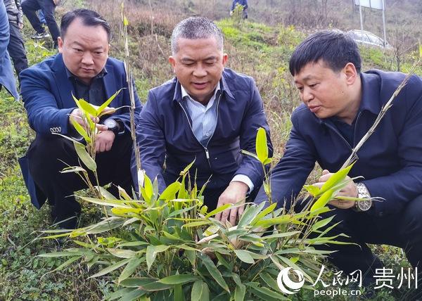 龙斌到小水督导检查产业结构调整和脱贫攻坚 桐梓县融媒体中心供图