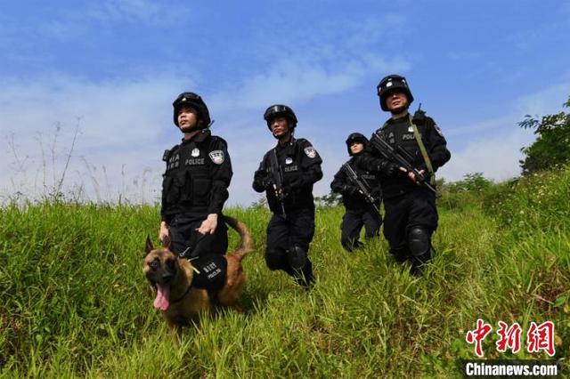 广西边检筑牢防疫国门屏障 查处非法出入境人员超6400人|边防检查