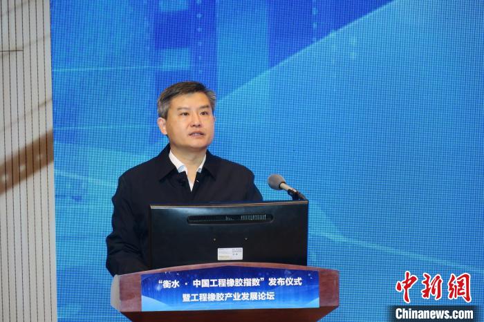 衡水高新区党工委书记王建明致辞. 王鹏 摄