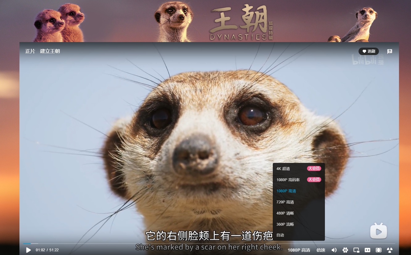 bbc纪录片《王朝》先遣预告片