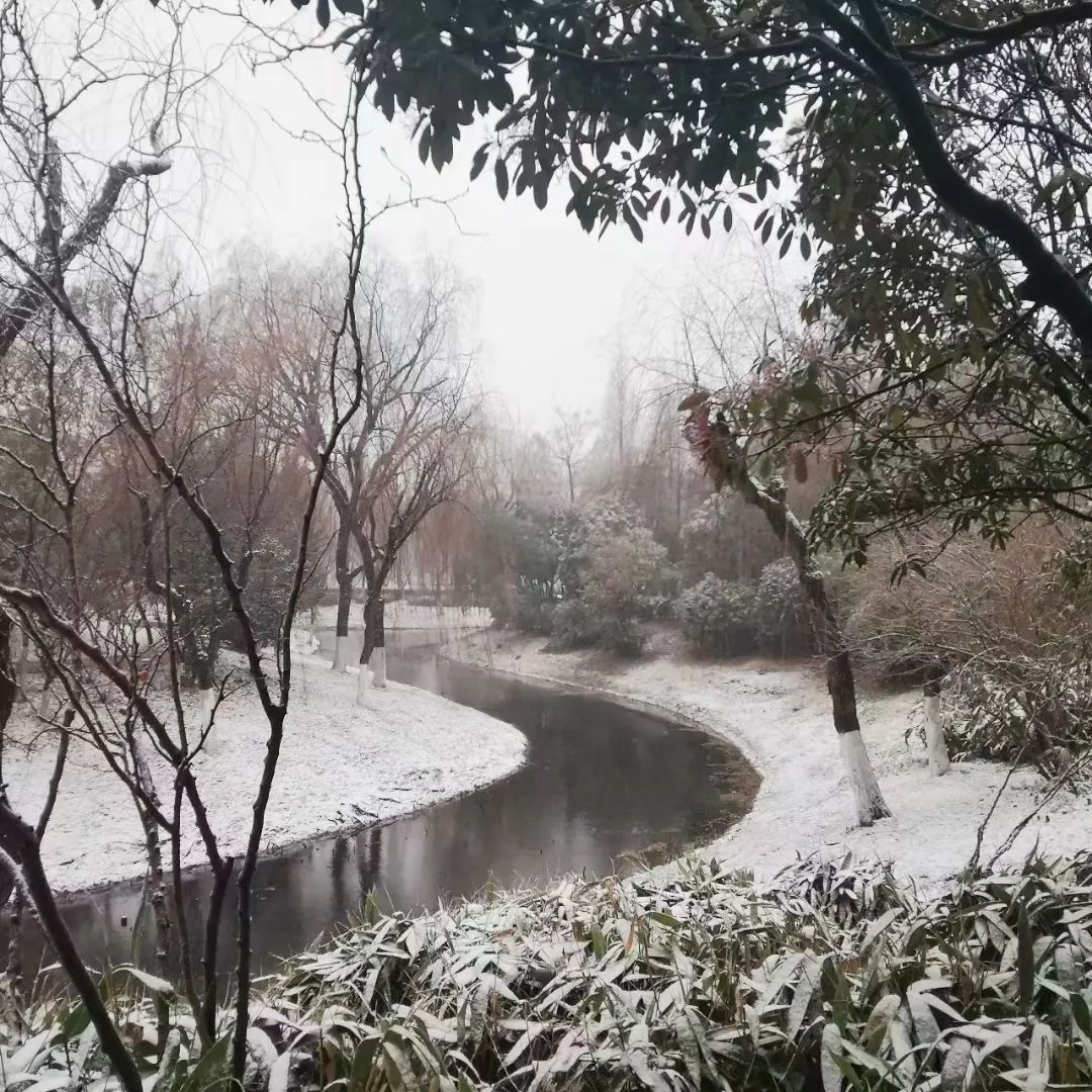 鹅毛大雪已到江苏!