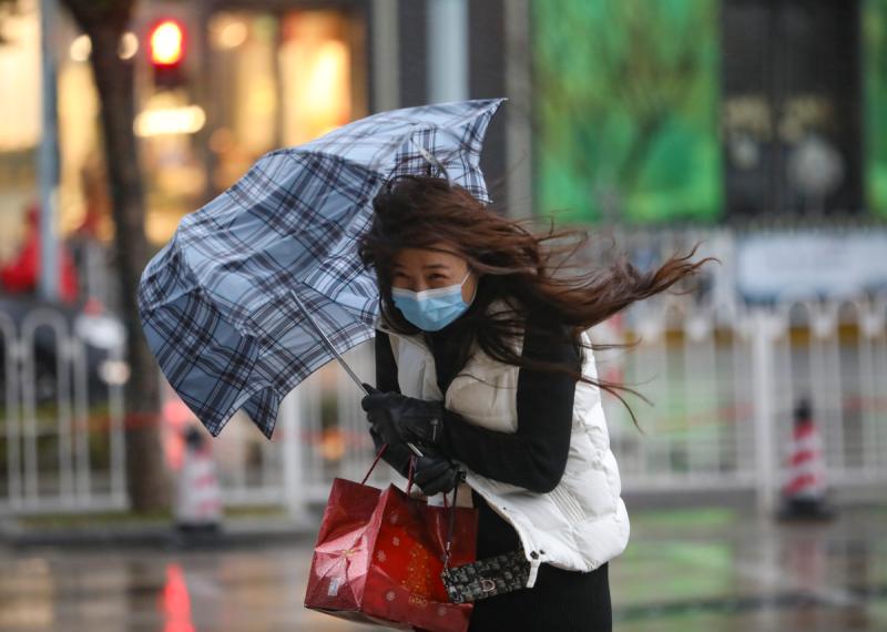 真的冷!寒潮前锋抵达上海,市区大风,冷雨,落叶满地