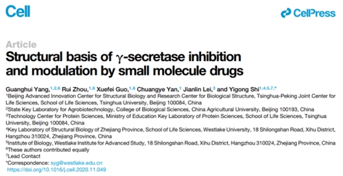 施一公团队再解阿尔兹海默重要蛋白结构 登上《