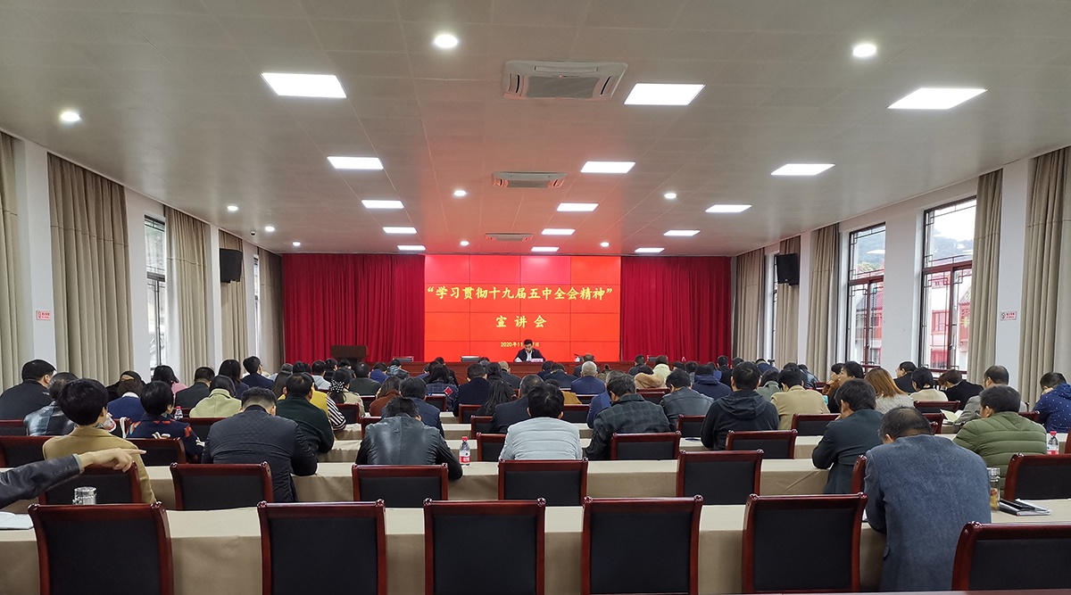 徐凯盛赴澄潭街道开展党的十九届五中全会精神宣讲