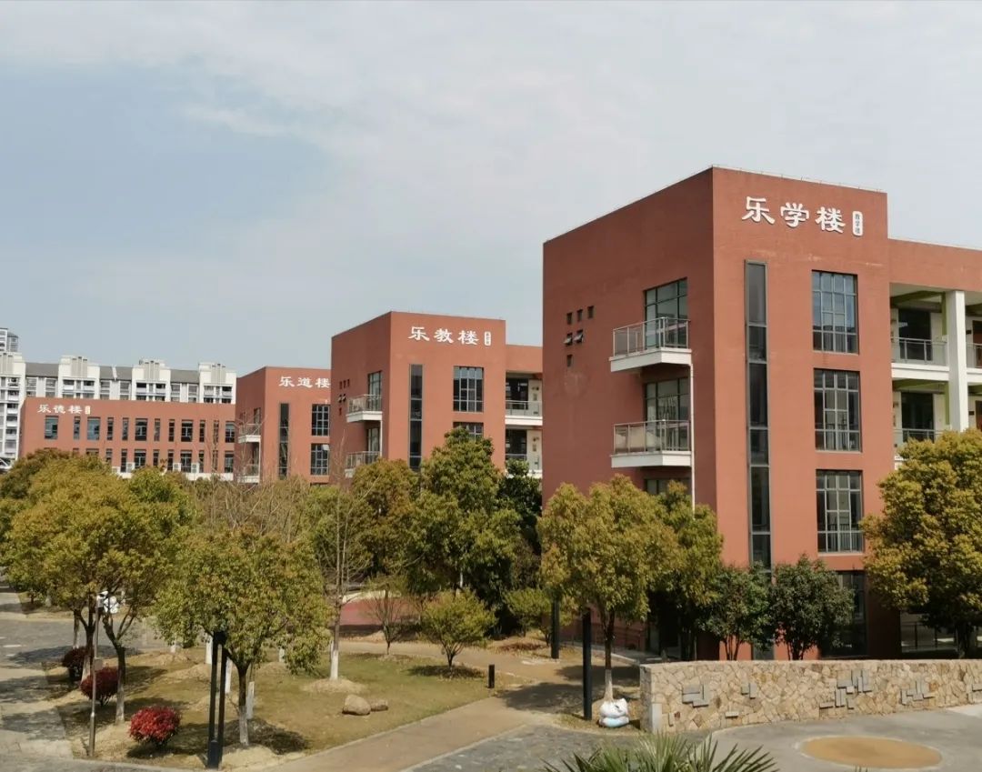 最佳风采(特金)奖昆山市玉山镇振华实验小学学校以体操艺术为主要特色