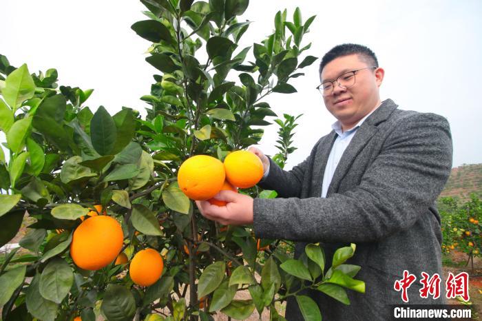 余干县县长江忠汉介绍,采摘节以"情义余干,以橙相待"为主题,通过
