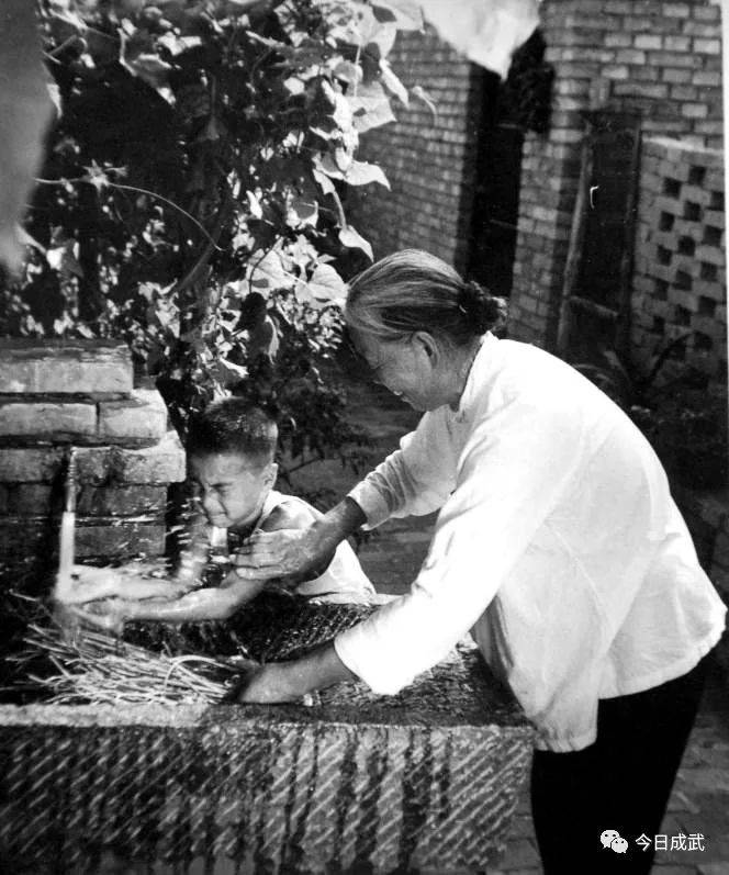 老照片!成武记忆,每一张都是满满的回忆!