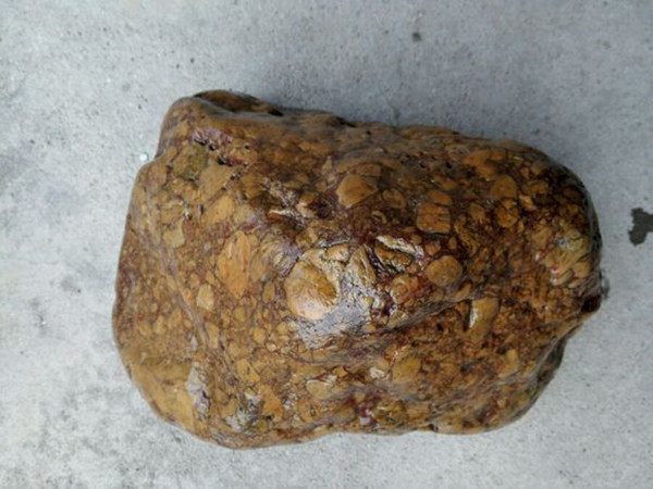 农村大叔在小溪捡回一块石头,附近村民闻讯纷纷赶来围观