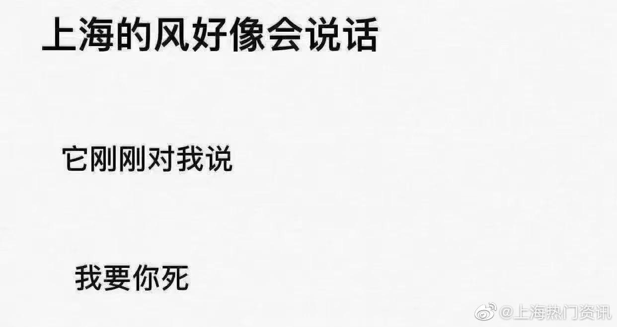 上海的风好像会说话