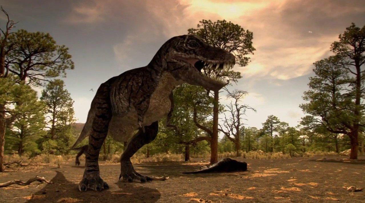 恐龙探秘 2 之 全景霸王龙 dinosaur secrets 2 - a whole picture of