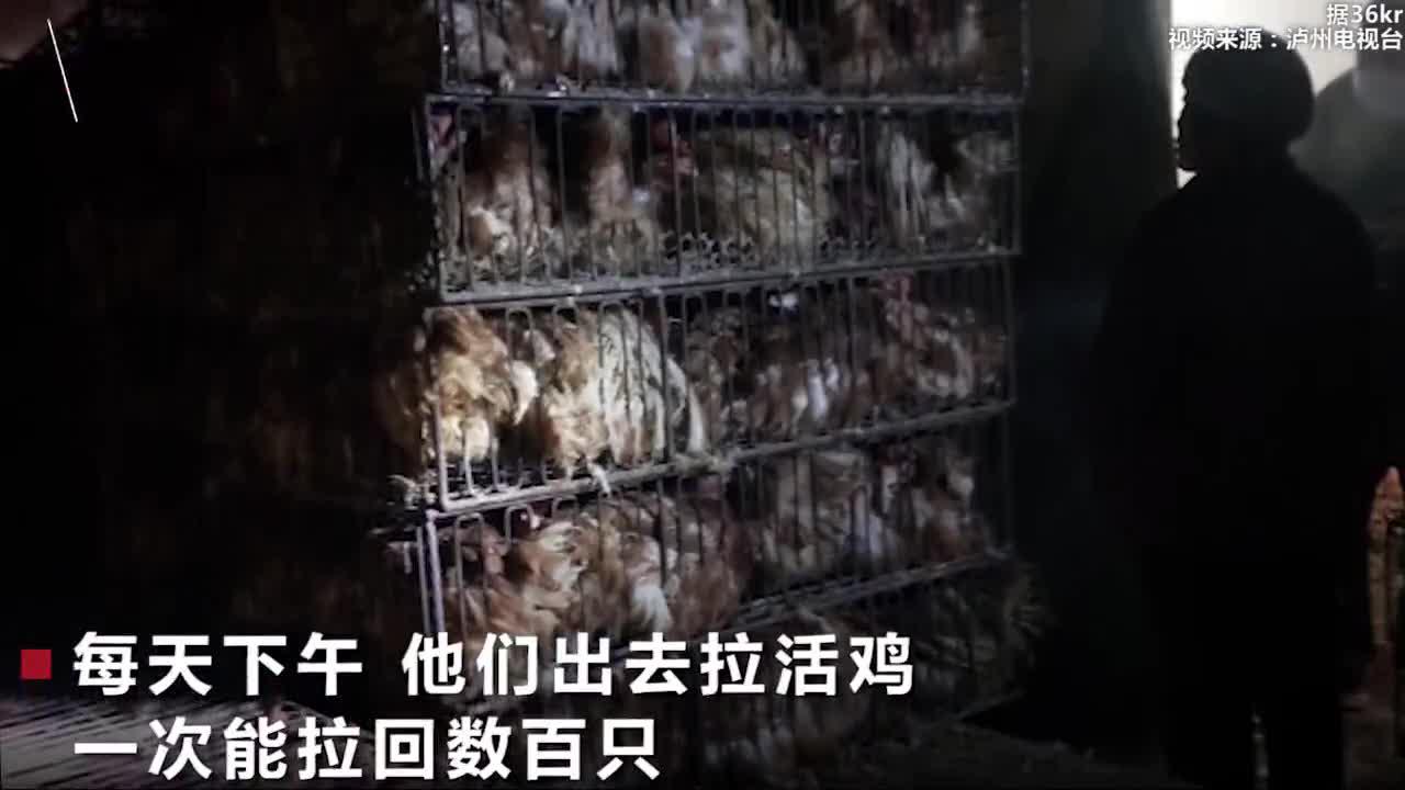 肮脏程度不堪入目，两天内查封5家杀鸡黑窝点_新浪新闻