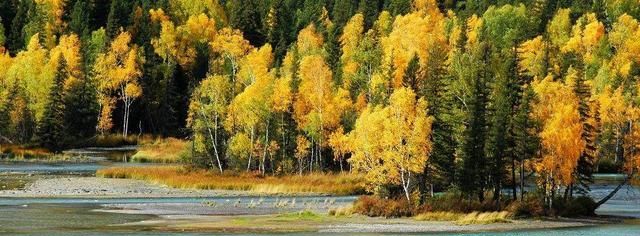 新疆各市人均gdp排名_新疆各市GDP排名2020年排行榜(完整版)