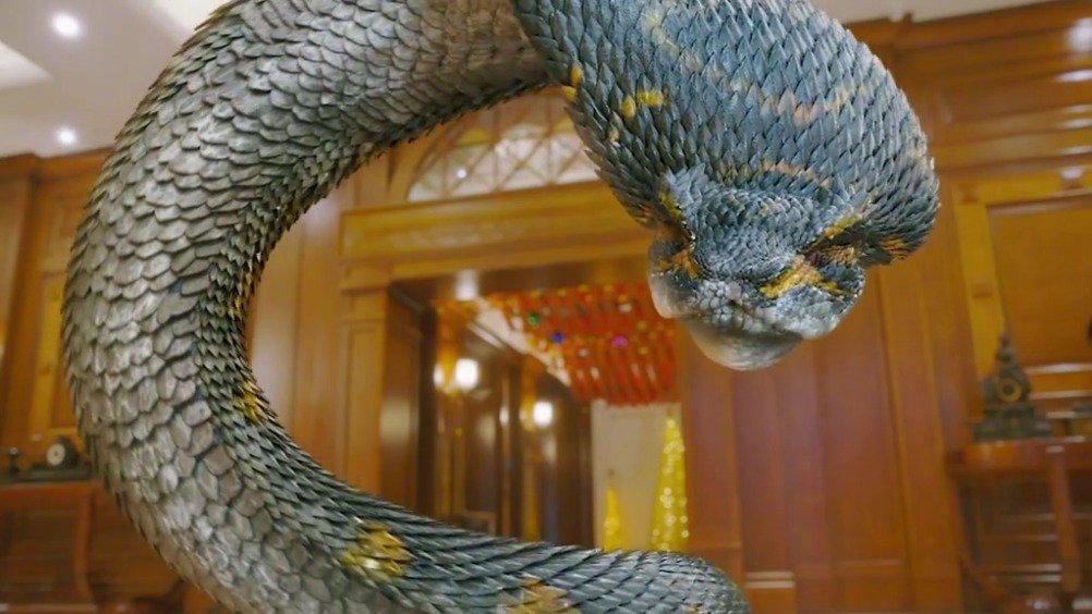 选财还是选命?变异狂蟒2