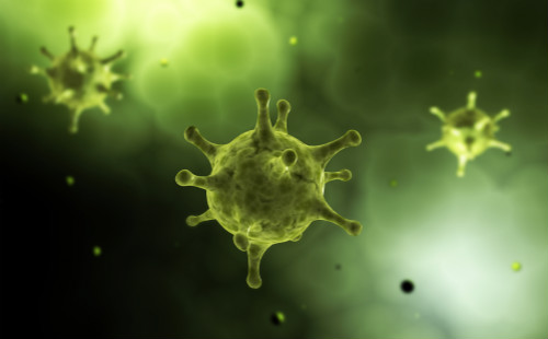 美国卫生专家：美或已存在其他版本“本土变异”新冠病毒