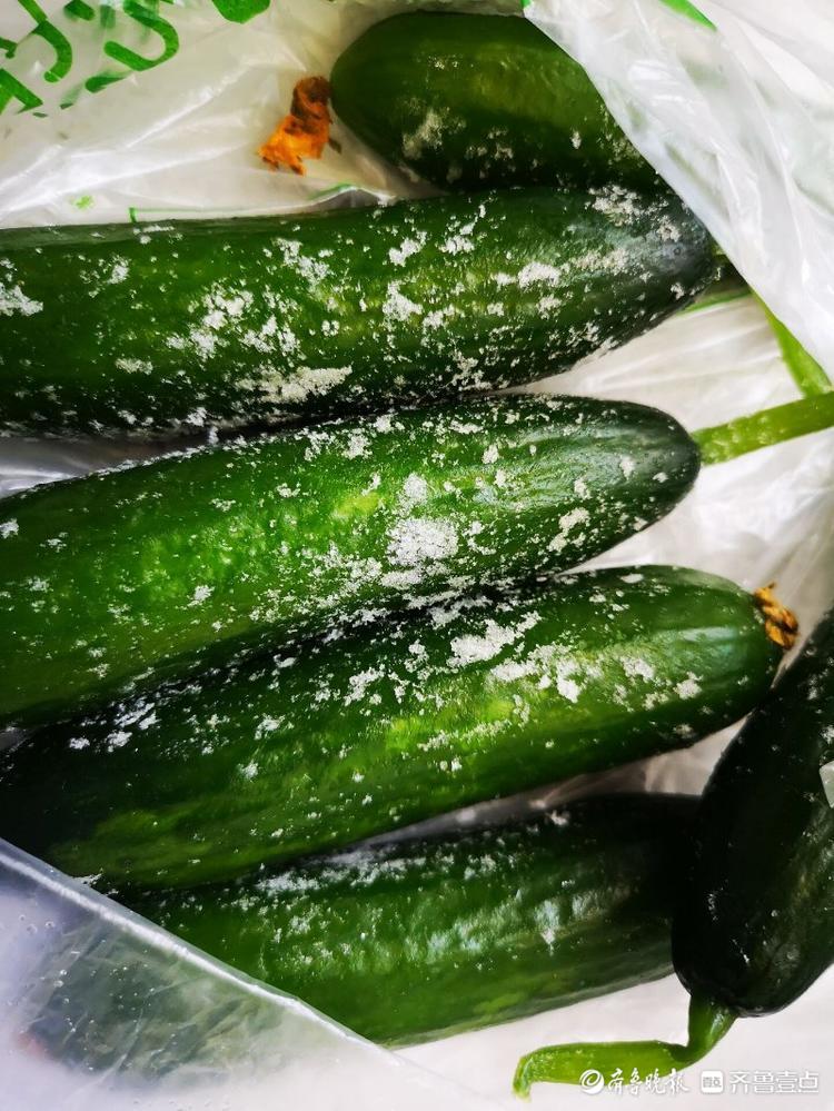 济南今天有多冷?买回来的黄瓜直接冻坏了