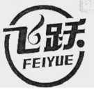 生龙鞋业拥有的另一个飞跃商标，1996年注册成功 图片来源：国家知识产权局商标局