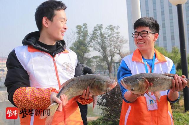 视频|"庆鱼年":扬州一高校开锣捕鱼,全校师生品尝免费"全鱼宴"