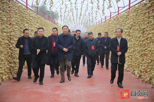 基地核心示范区12月28日,贡井地区市人大代表肖光俊,徐玉华,张光敏,林