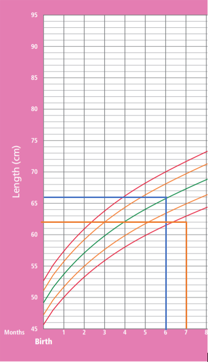 SEO标题类型有哪些 网站SEO基础设置有哪些