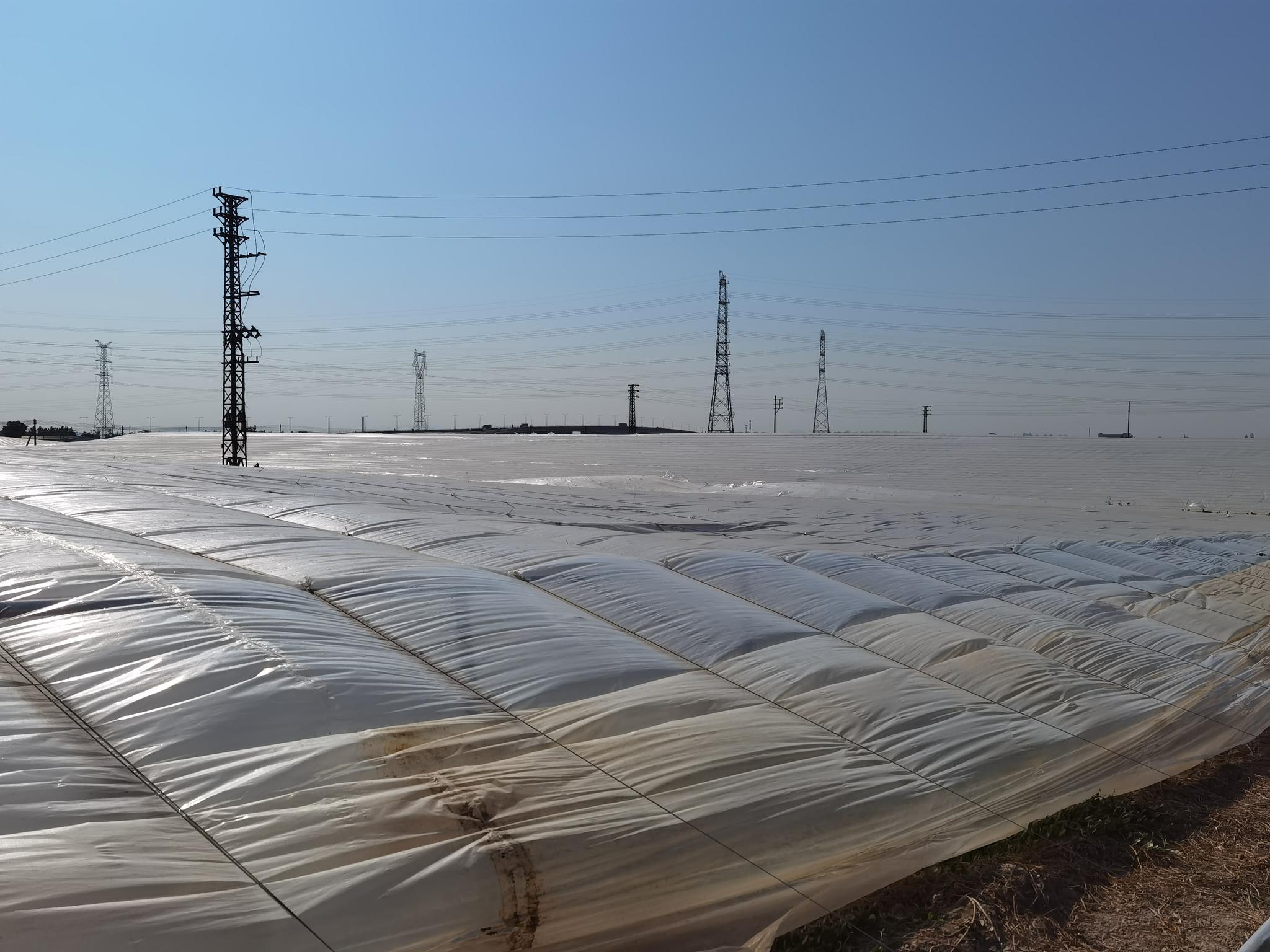 "在这个位于三角镇水产养殖场,记者见到所有的鱼塘都