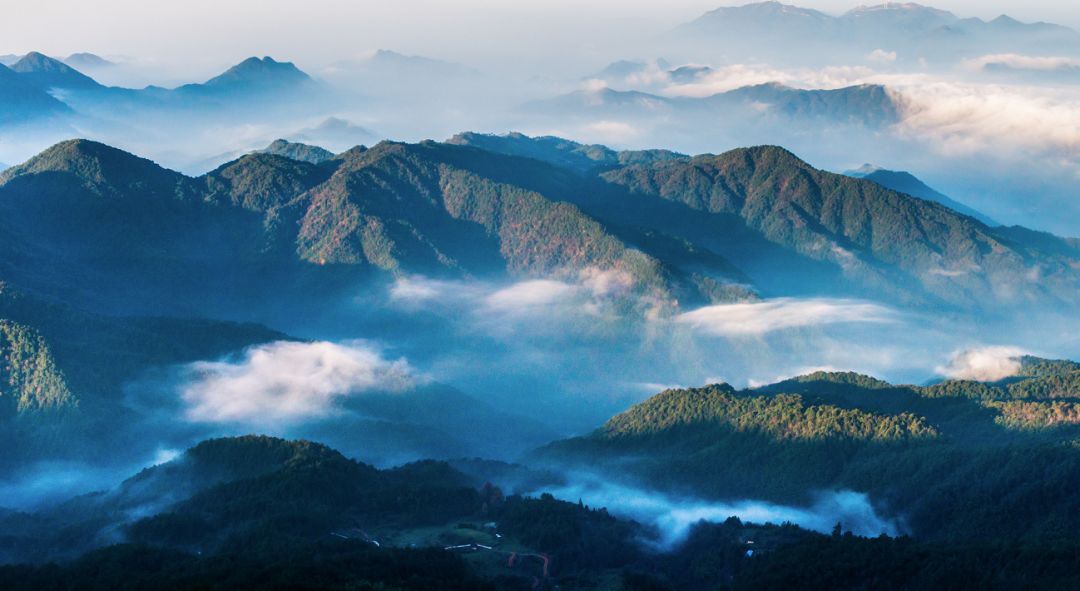 遇见美丽江西 | 寻乌:一朵赣闽粤三省交界开出的鲜花