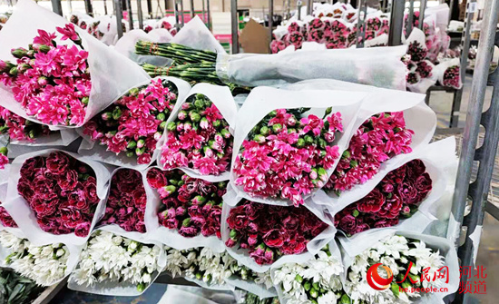 存储|冷链运输|鲜花_新浪新闻