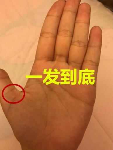 手相手形如锥大器晚成早年无财遭人看不起晚年富贵逼人