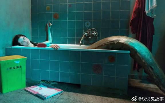 美人鱼意外闯入人类世界,不料被生物老师抓住,关进实验室做实验