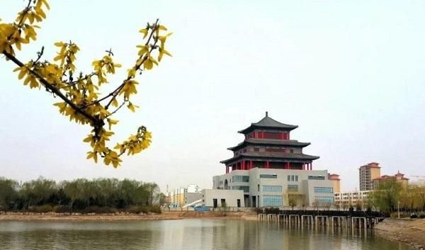 高青seo优化技术