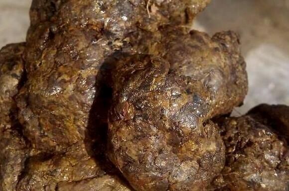 长期服用蜂胶的副作用,蜂胶的副作用与禁忌