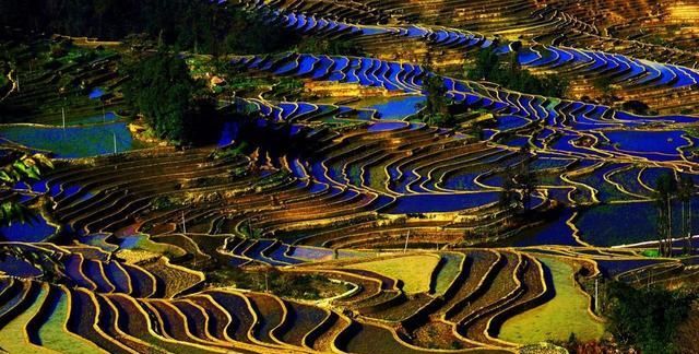 昭通2019人均GDP_云南2021年前三季度GDP:昆明双低,曲靖、楚雄、昭通猛增