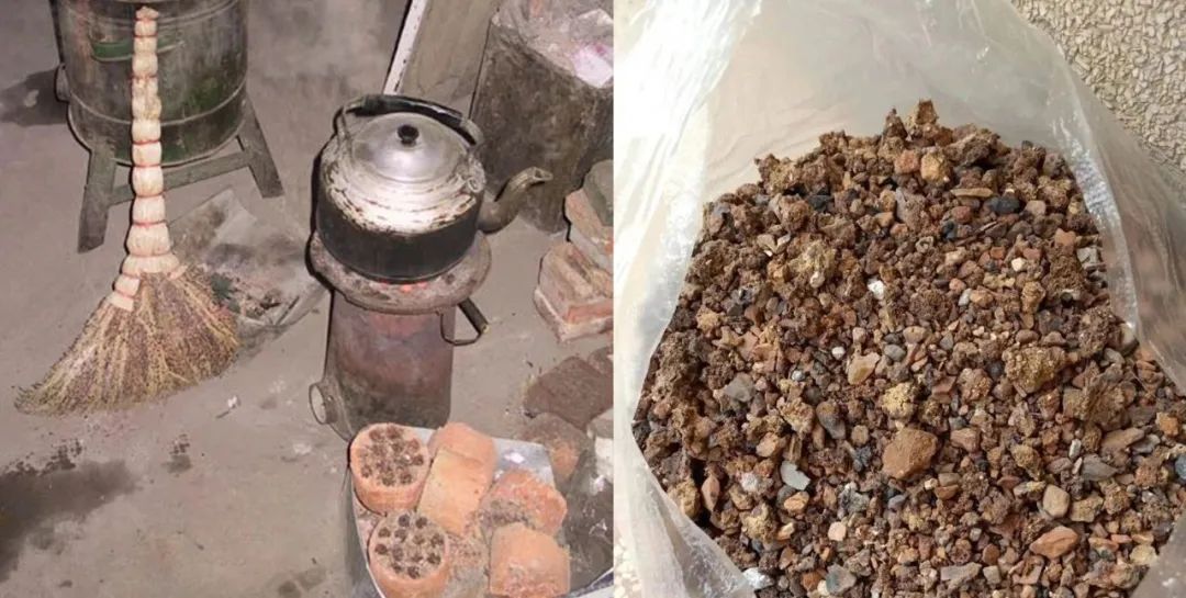 看完蜂窝煤渣养花的几大好处,养多肉和绿植都很好,看到赶紧捡