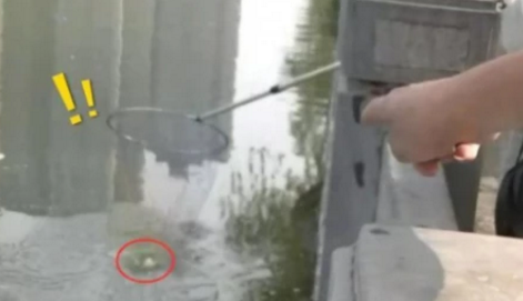 大妈河边放生一百多条鱼，但旁边大爷的做法，让她感到无奈和气愤休闲区蓝鸢梦想 - Www.slyday.coM