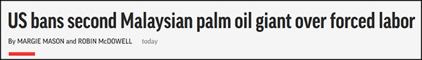 美宣布禁止进口马来西亚棕榈油巨头产品 称该公司存在