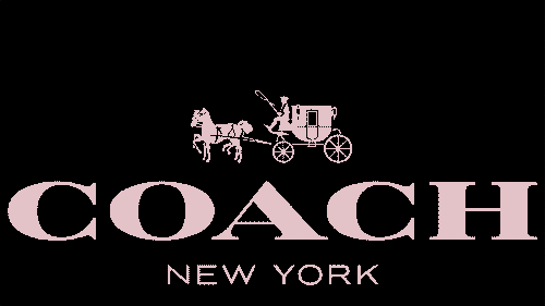 数着时间一起进入2021coach本命年限量手表25购