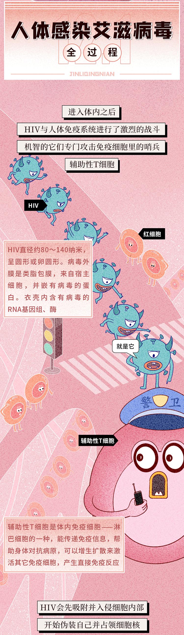 隐秘而伟大的战争艾滋病毒入侵人体全过程