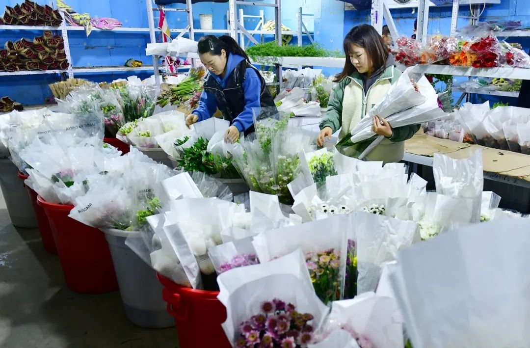 鲜花市场的暖流：昆明为何成为花卉交易中心