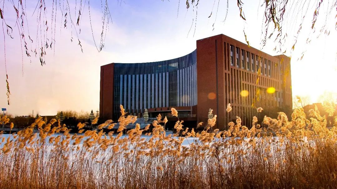 沈工大的abcdefg是学习知识的城堡教室宽敞明亮读书声朗朗不绝每来