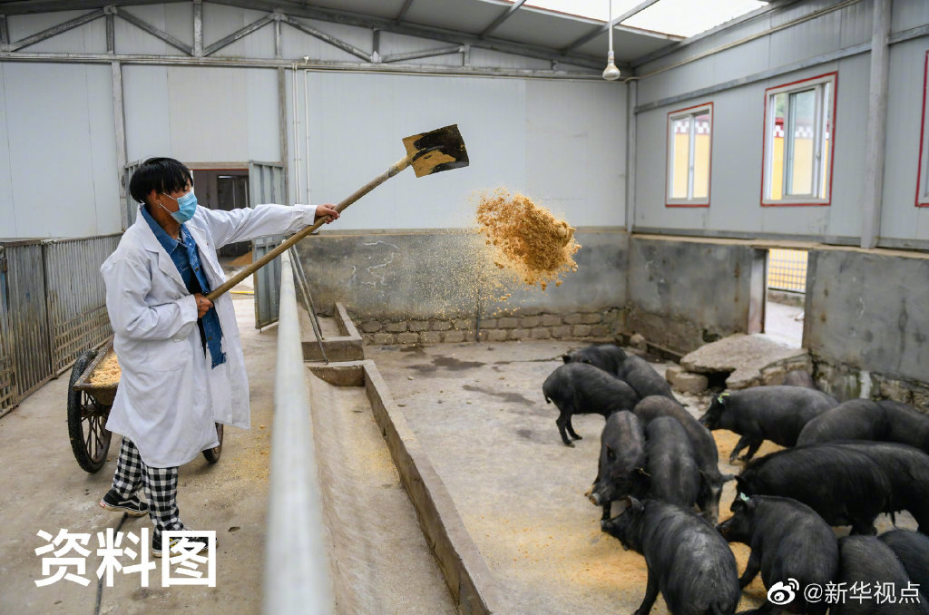 西藏农牧学院2020排名_西藏农牧学院2020年招生政策变化(2)