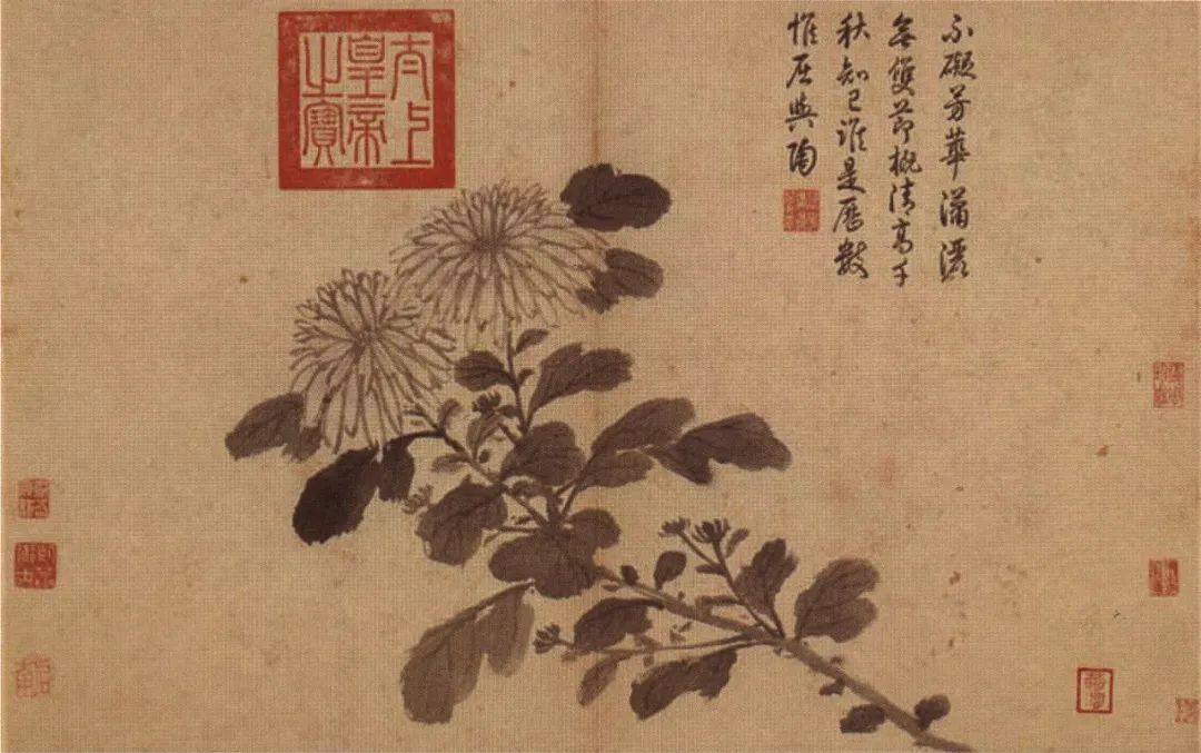 (明)沈周《写生》册之一,台北故宫博物院藏