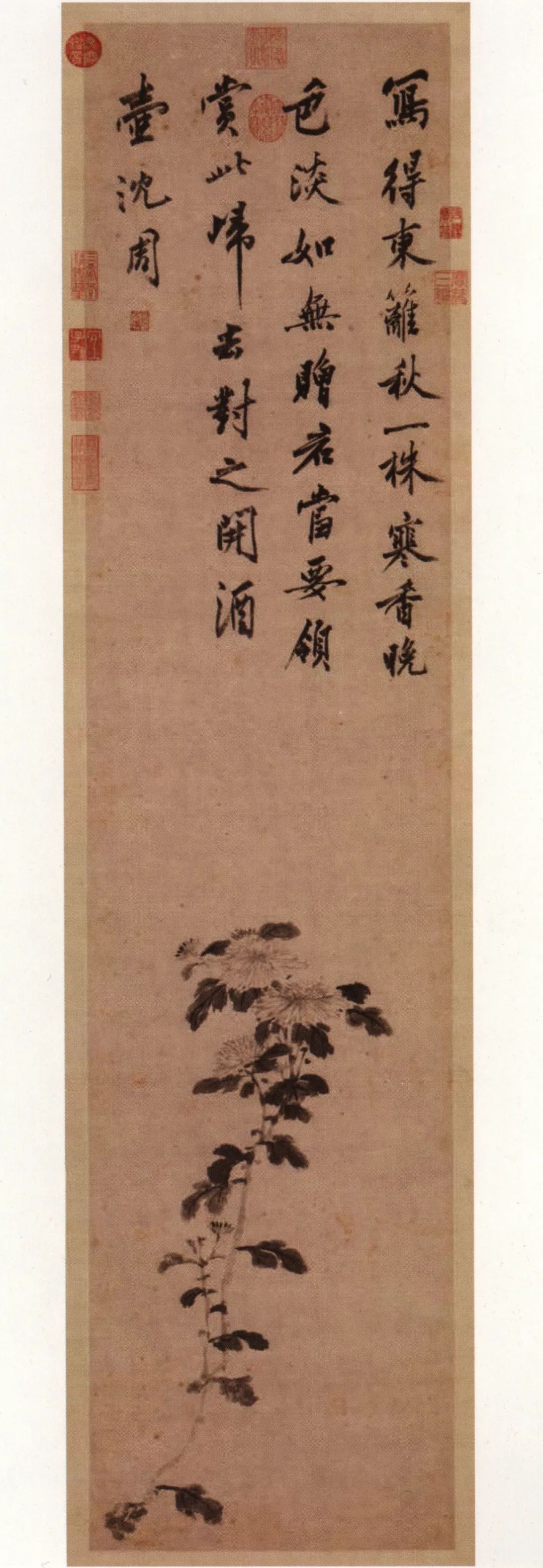 金黄的菊花在秋风的拂动下遍地盛开,沈周在其题画诗中所营造的这种