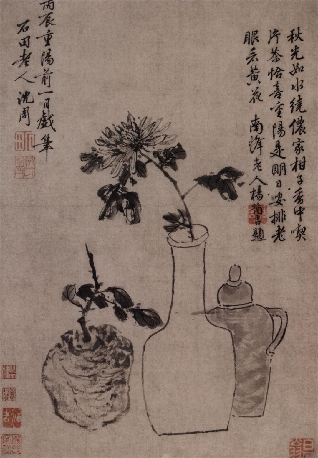 沈周笔下的重阳与秋菊有酒有花皆乐事人间无日不重阳