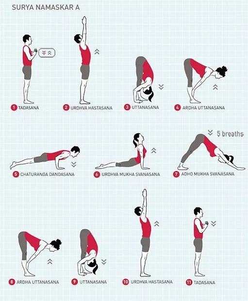 瑜伽12个基姿势图片