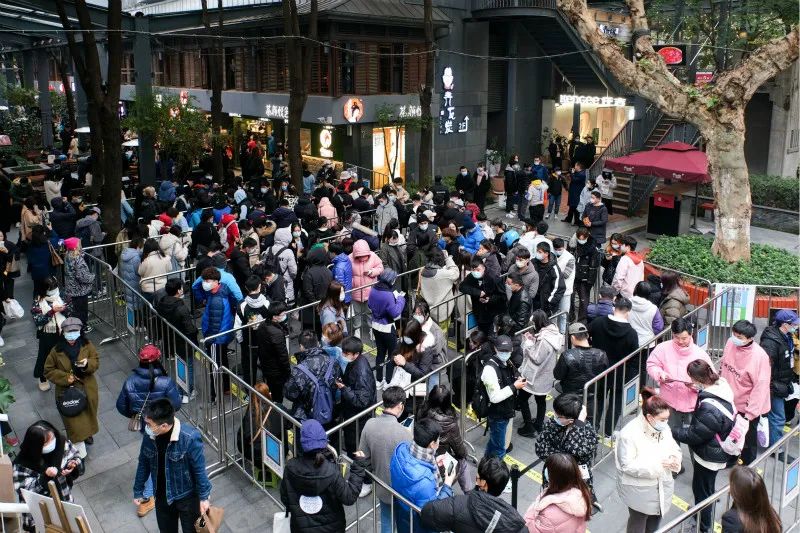 一杯奶茶500块排队8小时到底谁有病