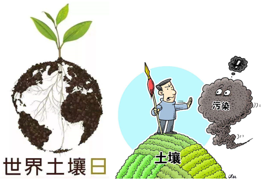 世界土壤日 | 济南市生态环境局发倡议:保护土壤,你我参与