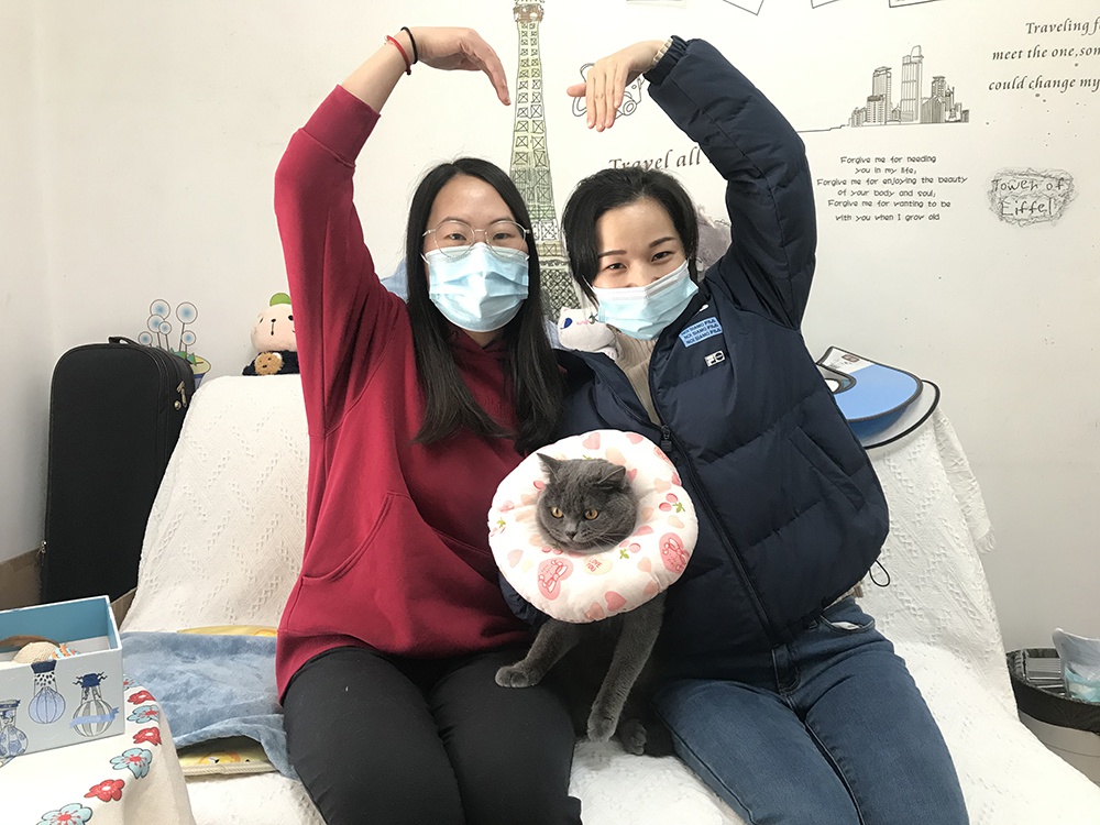 猫主人（左）、邓医生和逐渐康复的猫咪合影。
