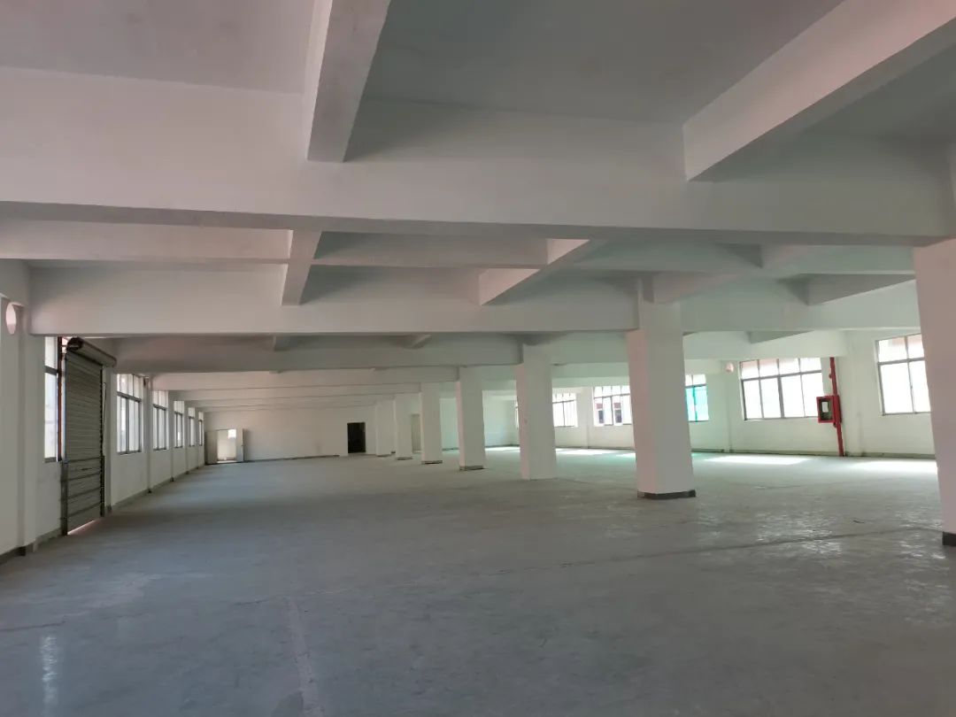 深圳市龙华区某厂房,租金价格为32元/平/月 张慧敏 摄